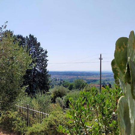 L'Olivo Appartamento Turistico Lucignano Exterior foto