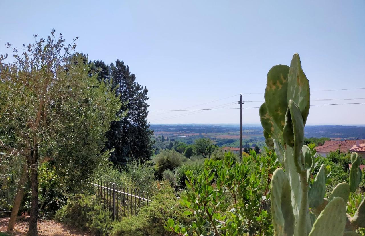 L'Olivo Appartamento Turistico Lucignano Exterior foto